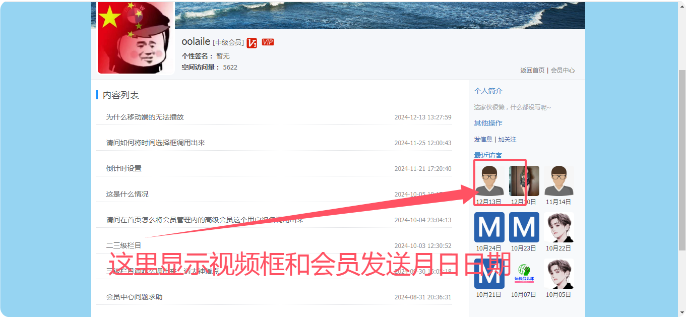 其他会员视频测试